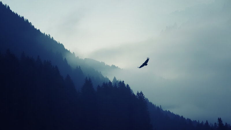 Eagle Flying over Mountains — Blue, Serene, Morning