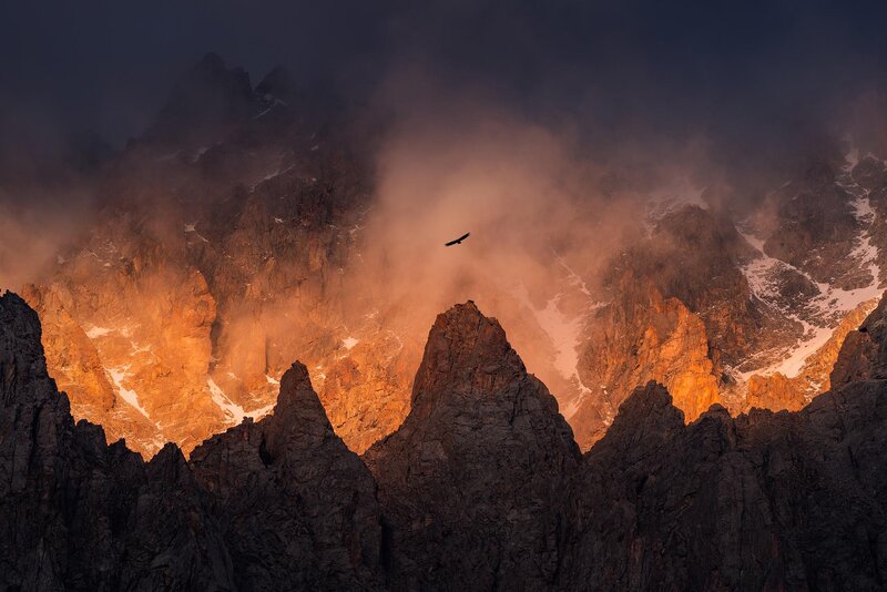 Eagle Flying over Mountains — Orange, Dramatic