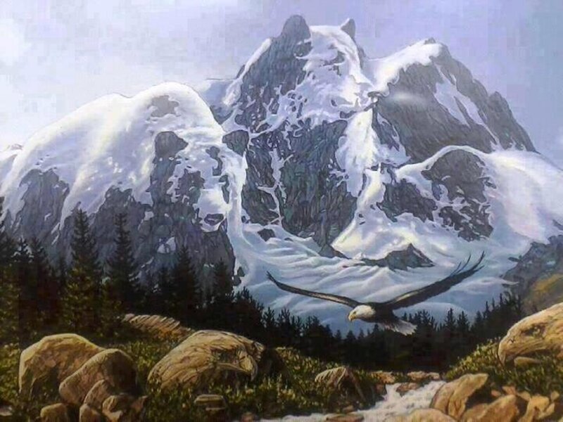 Eagle Flying over Mountains — White