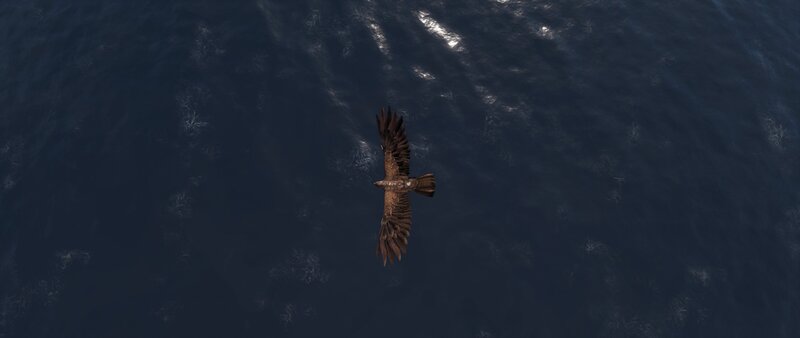 Eagle Flying over Ocean — Blue, Serene