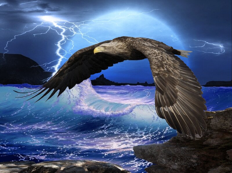 Eagle Flying over Ocean — Blue