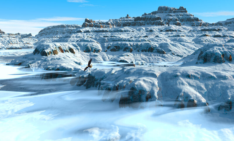 Eagle Flying over Snow
