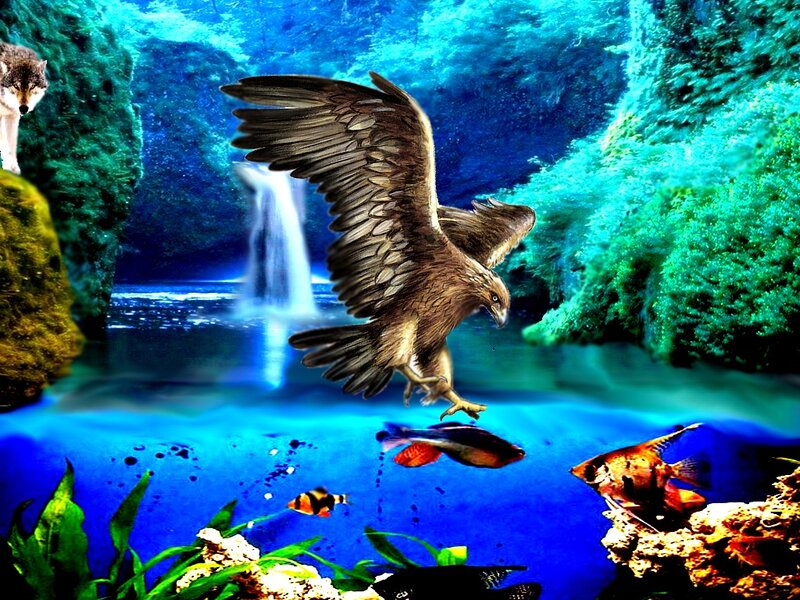 Eagle Flying over Water — Blue, Dramatic
