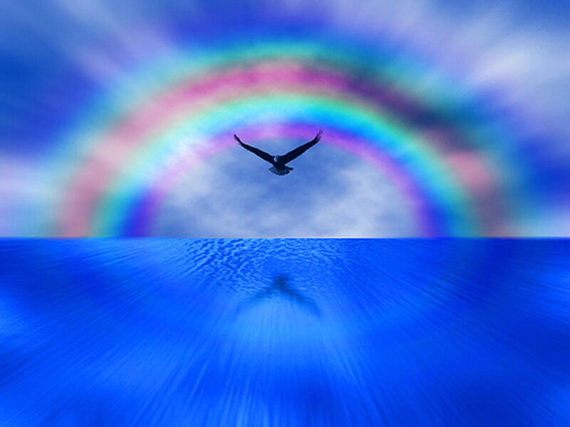 Eagle Flying over Water — Blue, Serene