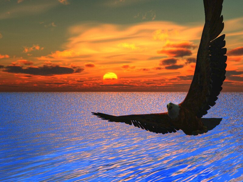 Eagle Flying over Water — Blue