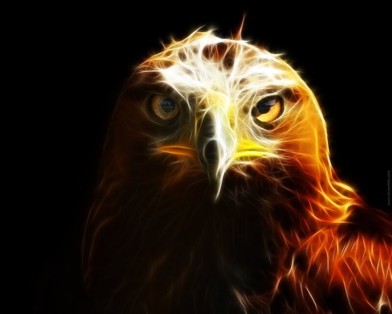 Eagle Head — Black, Dramatic, Digital Art
