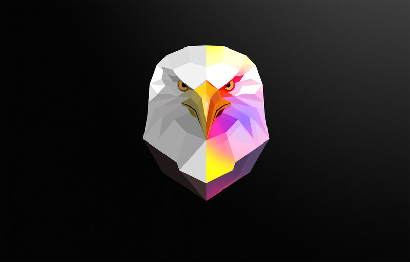Eagle Head — Black, Dramatic