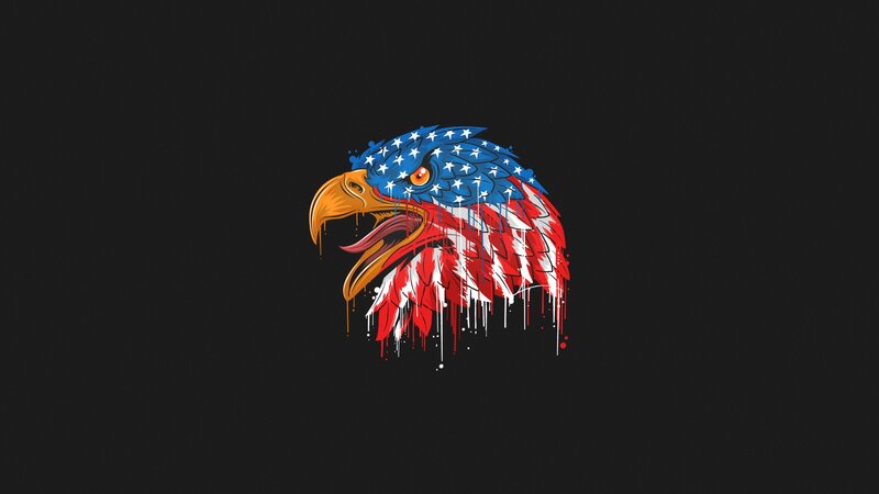 Eagle Head — Black, Patriotic
