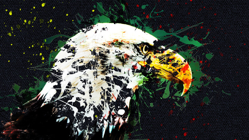 Eagle Head — Black