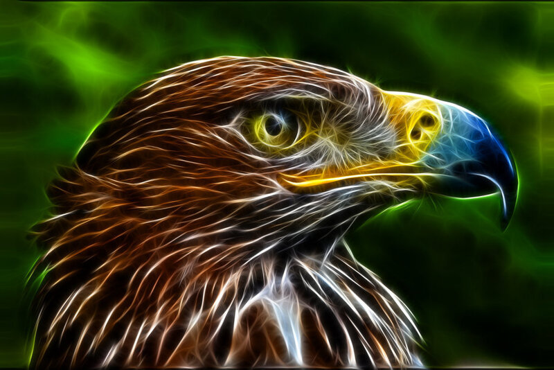 Eagle Head — Brown, Dramatic