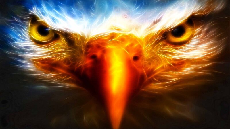 Eagle Head Close-up