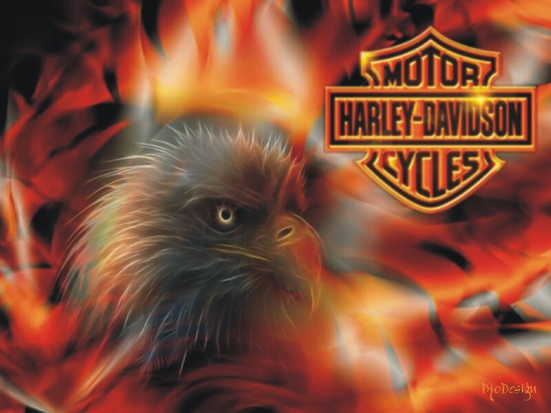 Eagle Head in Flames