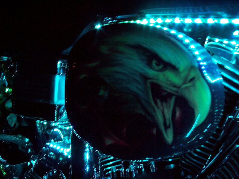 Eagle Head on Motorcycle