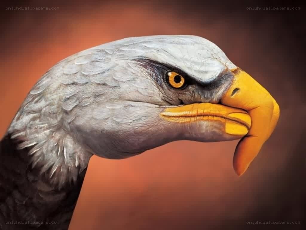 eagle head painted on hand
