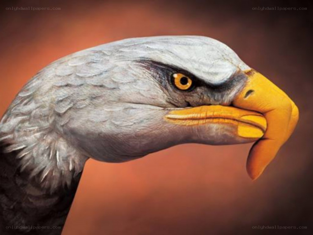 eagle head painted on hand