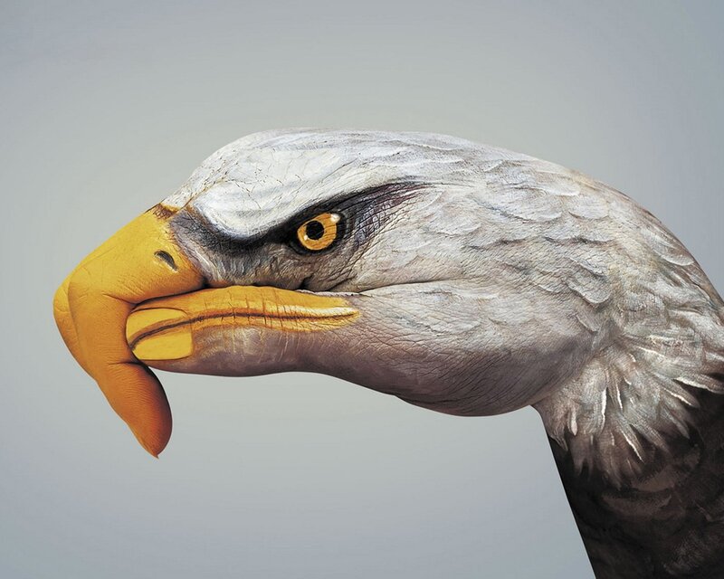 Eagle Head Painted on Hand — Gray, Dramatic, Photograph, Paint