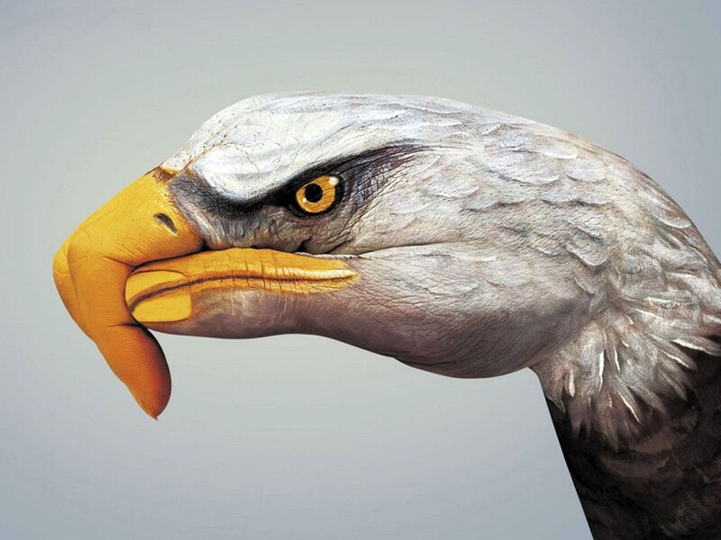 Eagle Head Painted on Hand — Gray