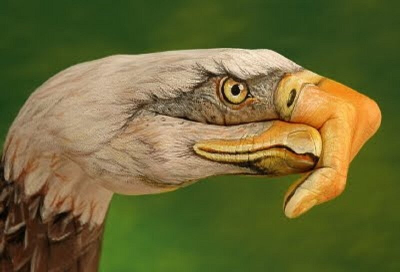 Eagle Head Painted on Hand — Green