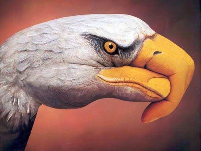 Eagle Head Painted on Hand — White