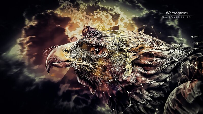Eagle Head Portrait — Black