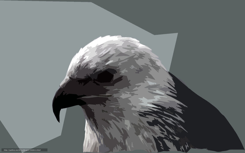 eagle head portrait