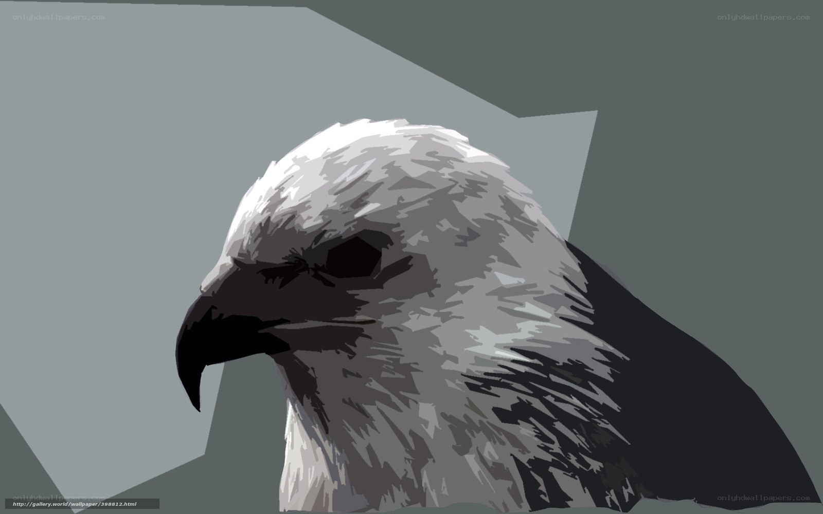 eagle head portrait