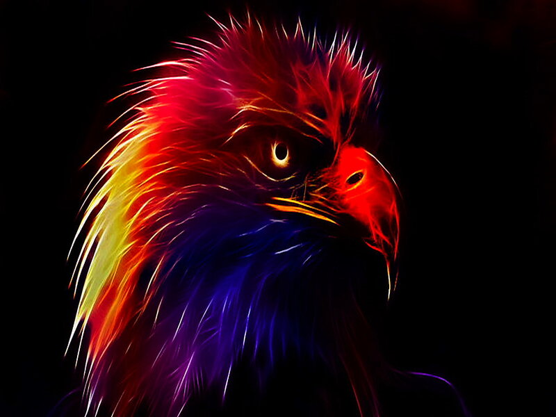 Eagle Head — Red, Dramatic