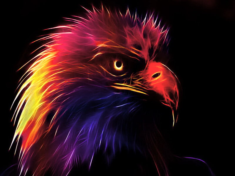 Eagle Head — Red