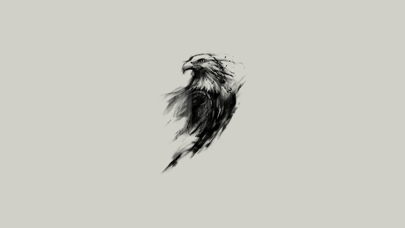 Eagle Head Sketch