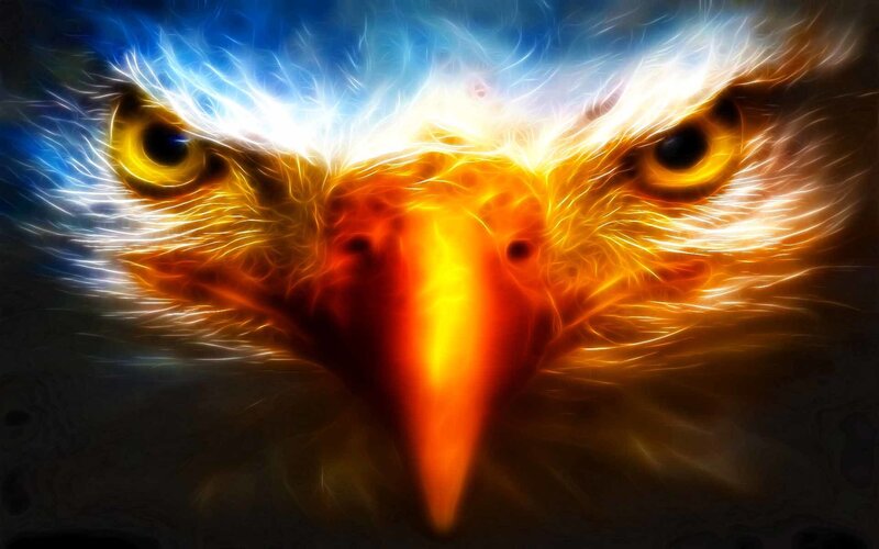 Eagle Head