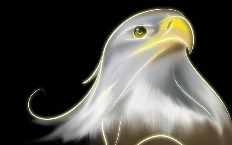 Eagle Head — White