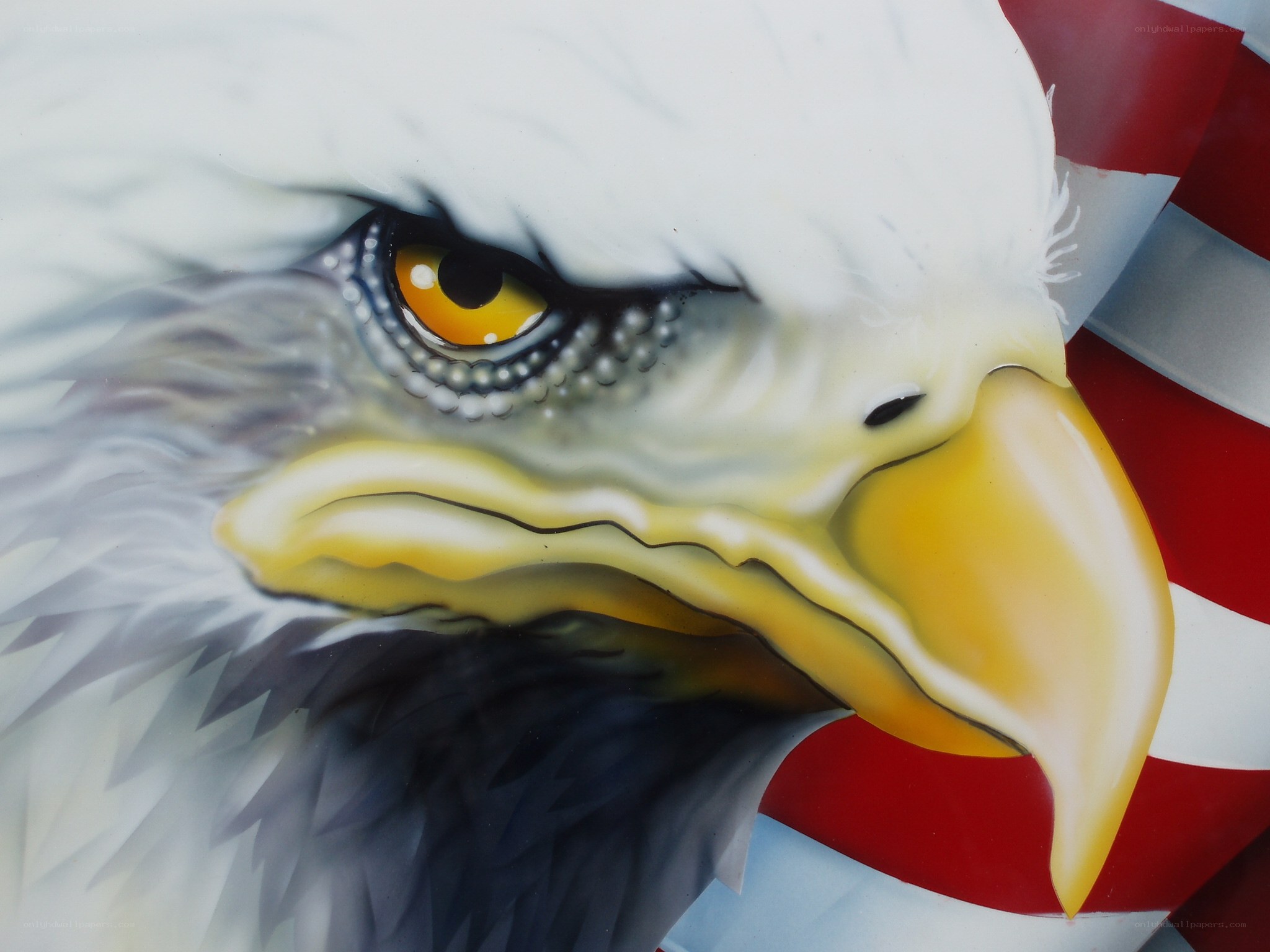eagle head with american flag