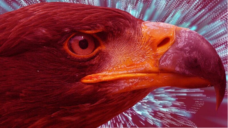 eagle head with digital background