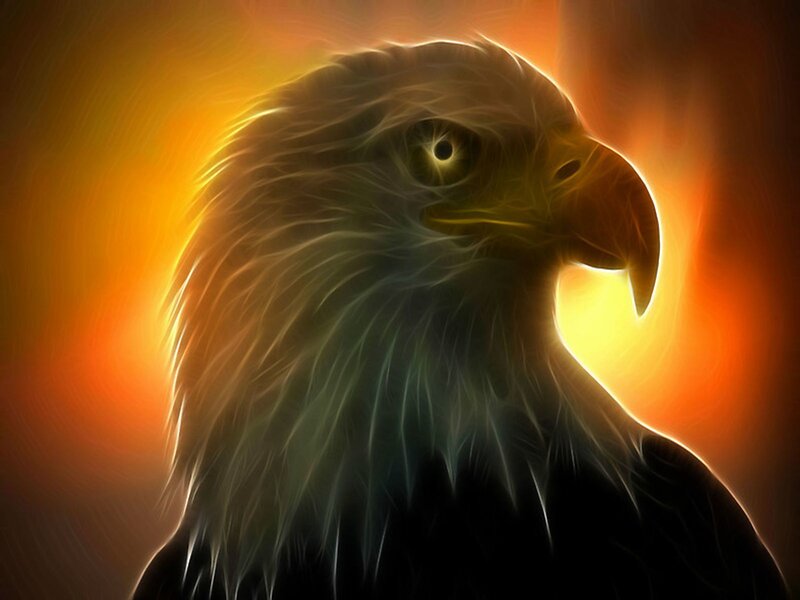 Eagle head with glowing aura