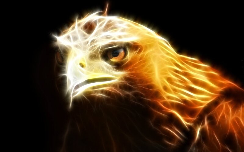 Eagle Head — Yellow