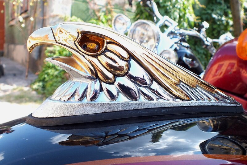 Eagle Hood Ornament