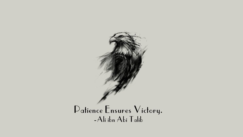 Eagle Illustration