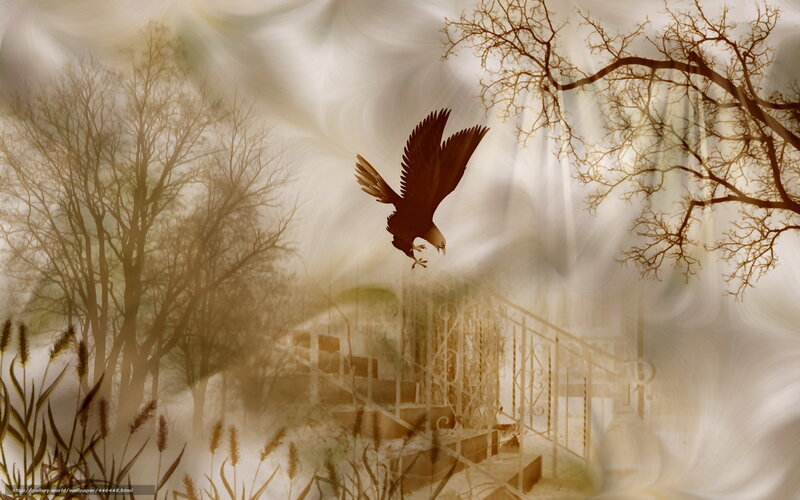 Eagle in a misty forest
