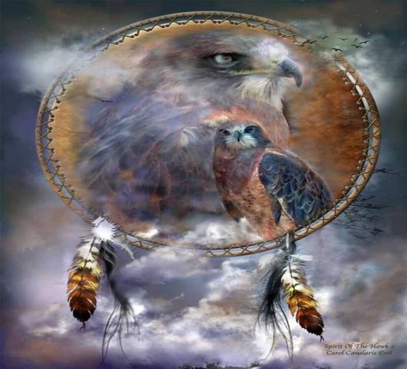 Eagle in Dreamcatcher — Brown