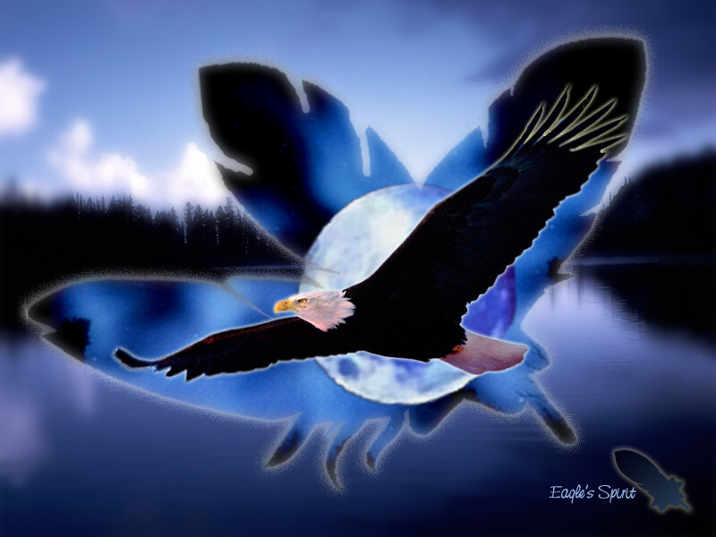 Eagle in Flight