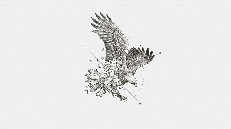Eagle in Flight — Black, Dynamic