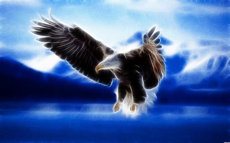 Eagle in Flight — Blue