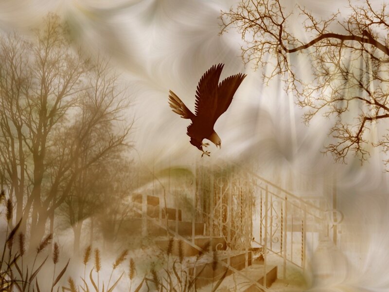 Eagle in Flight — Brown, Ethereal