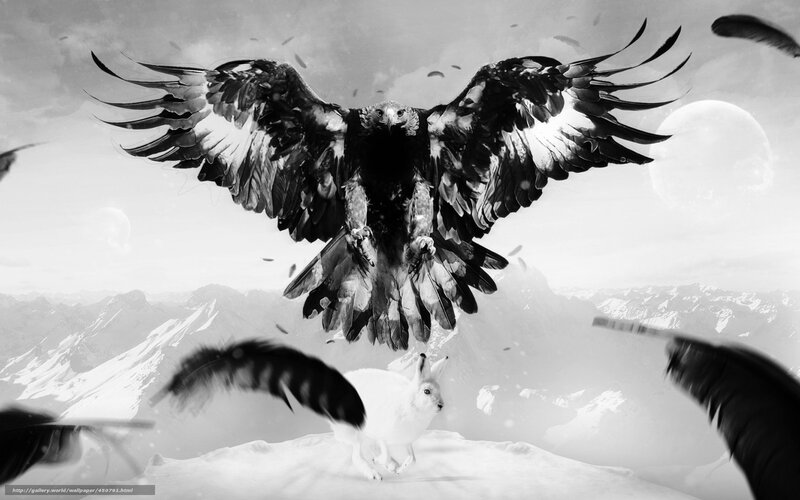 Eagle in Flight Over Mountains