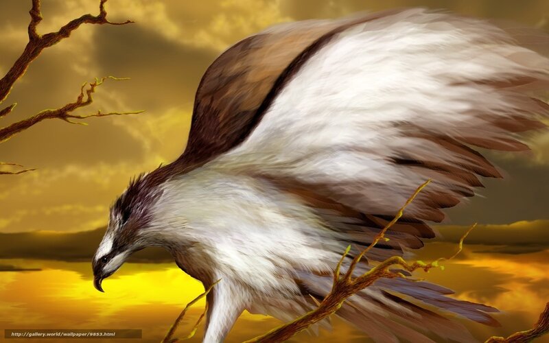 Eagle in golden sunset