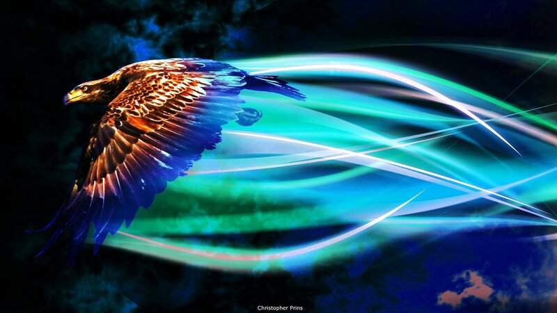 Eagle in motion with light trails