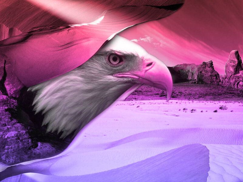 eagle in purple desert