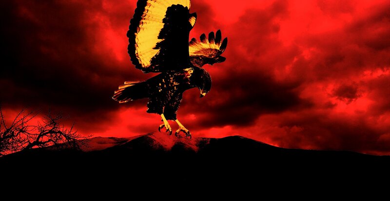 eagle in red sky
