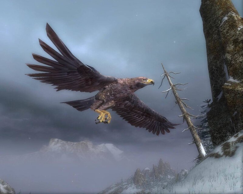 Eagle in snowy mountains