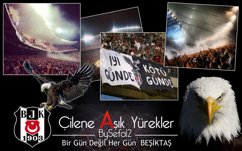 Eagle in Stadium